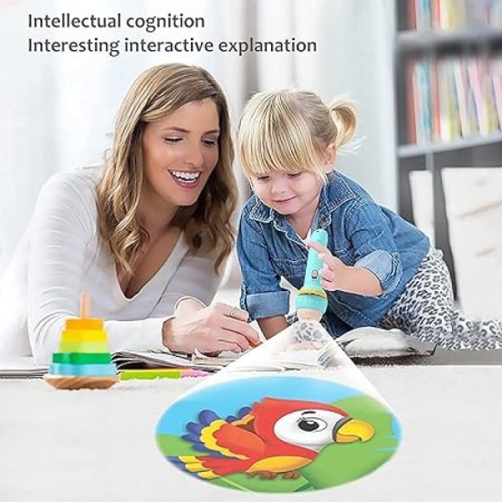 2in1 Kids Projector Torch (বাচ্চাদের খেলনা)